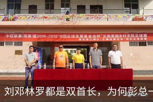 刘邓林罗都是双首长，为何彭总一直是司令兼政委？毛主席的用人算术