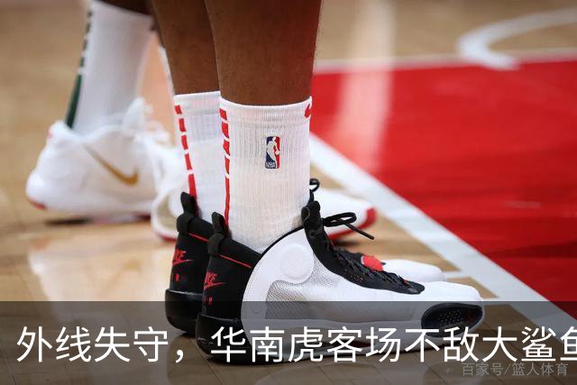 外线失守，华南虎客场不敌大鲨鱼