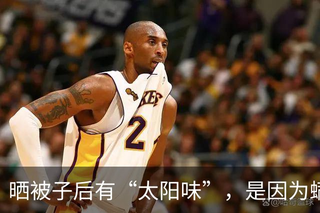 晒被子后有“太阳味”，是因为螨虫被烤焦了？科学家：太阳的功劳