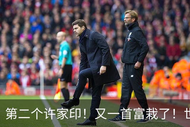 第二个许家印！又一首富栽了！世界500强竟是假的，千亿帝国清零