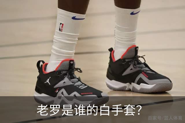 老罗是谁的白手套？